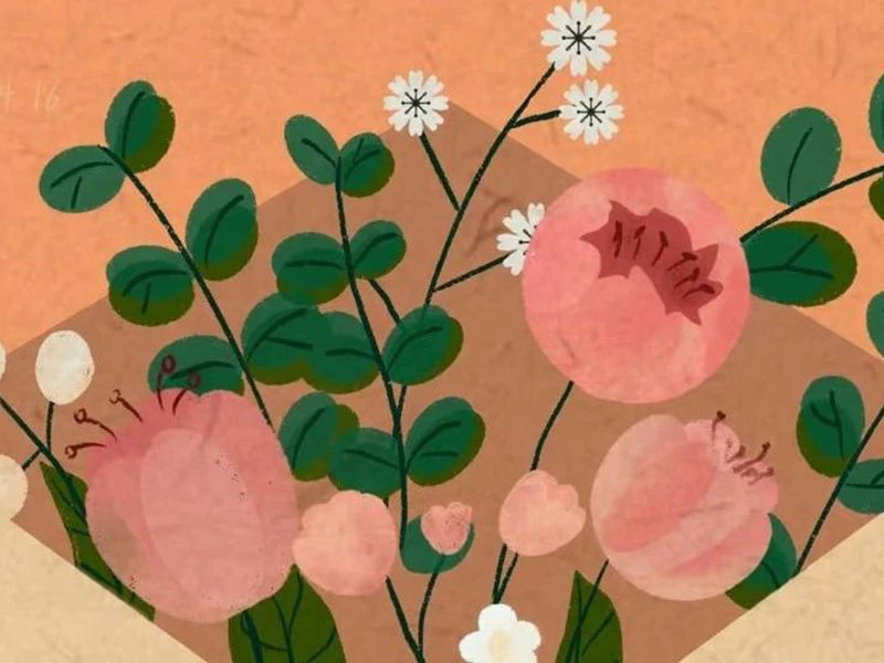 نامه ای به خانواده جوفنگ