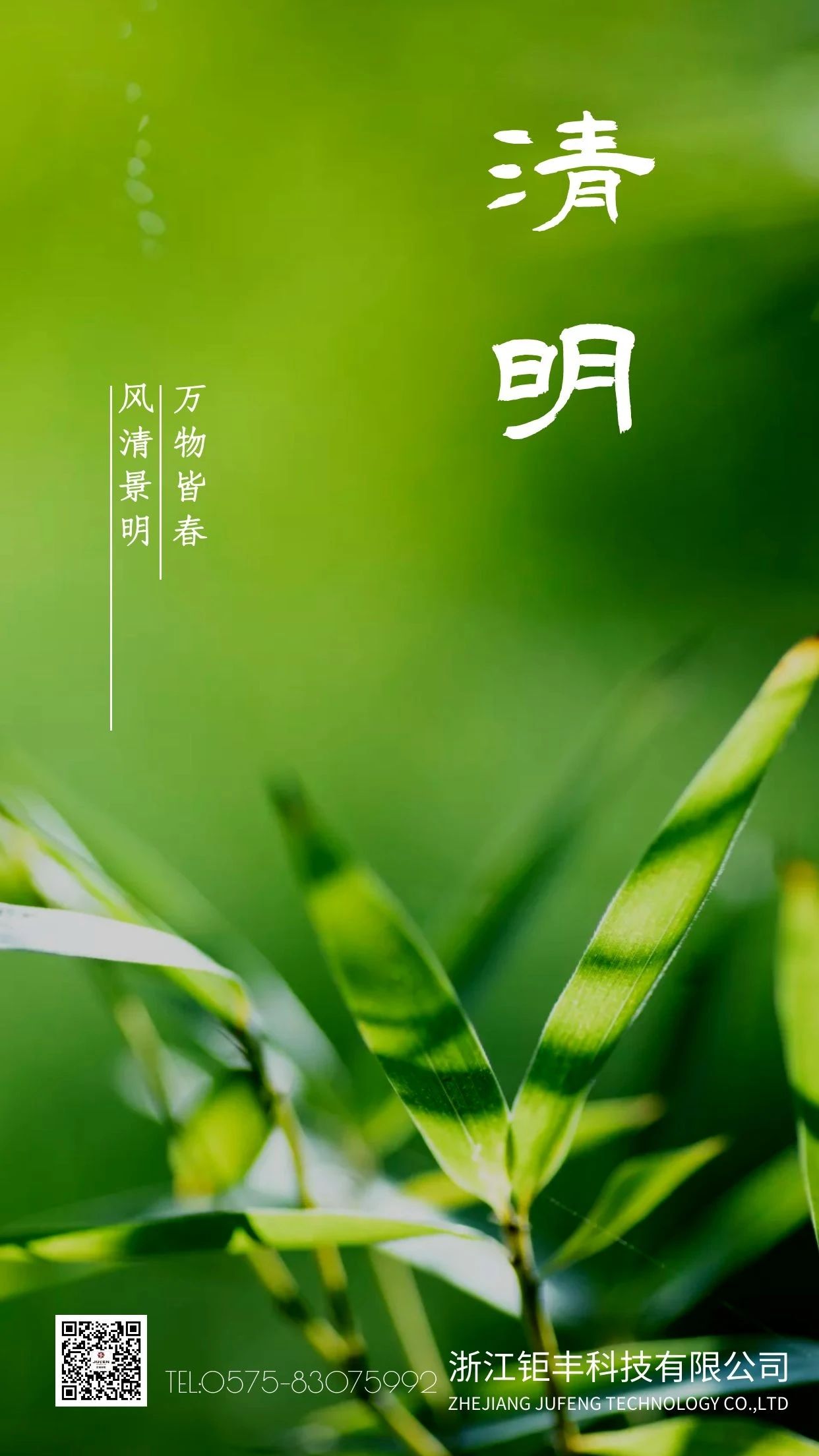 Qingming丨 باد می وزد و جشنواره Qingming پر از بهار است